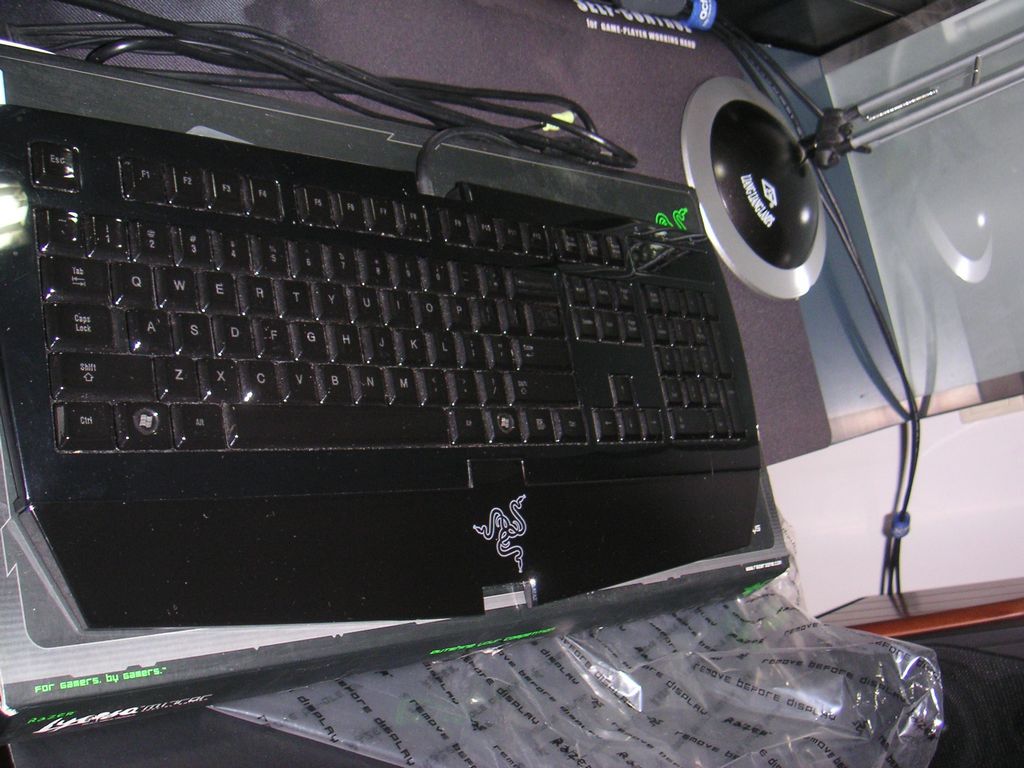 PICT0004.JPG