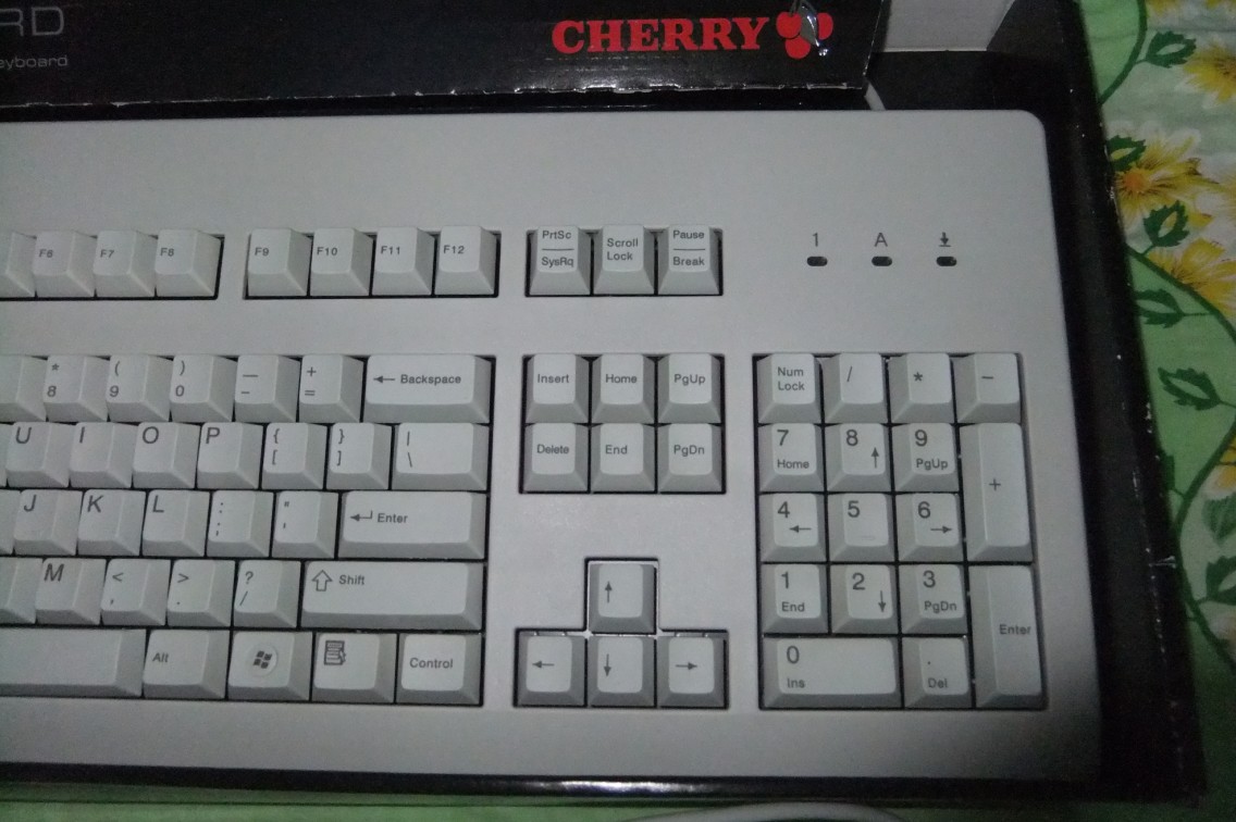 55555.jpg