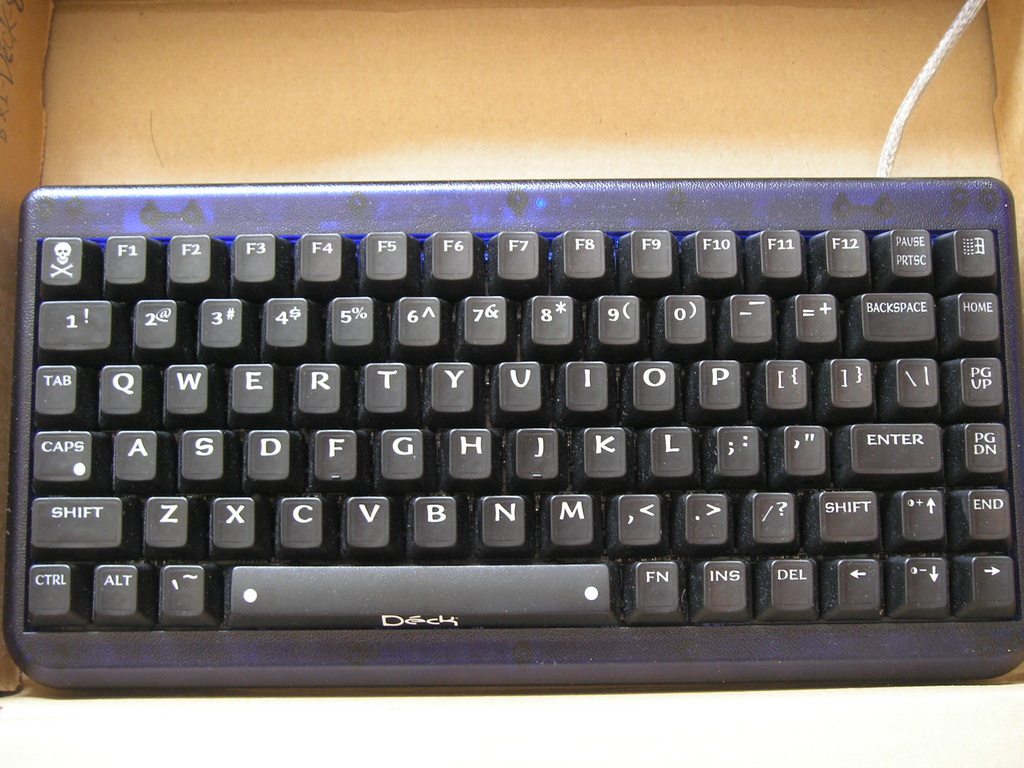 555.jpg