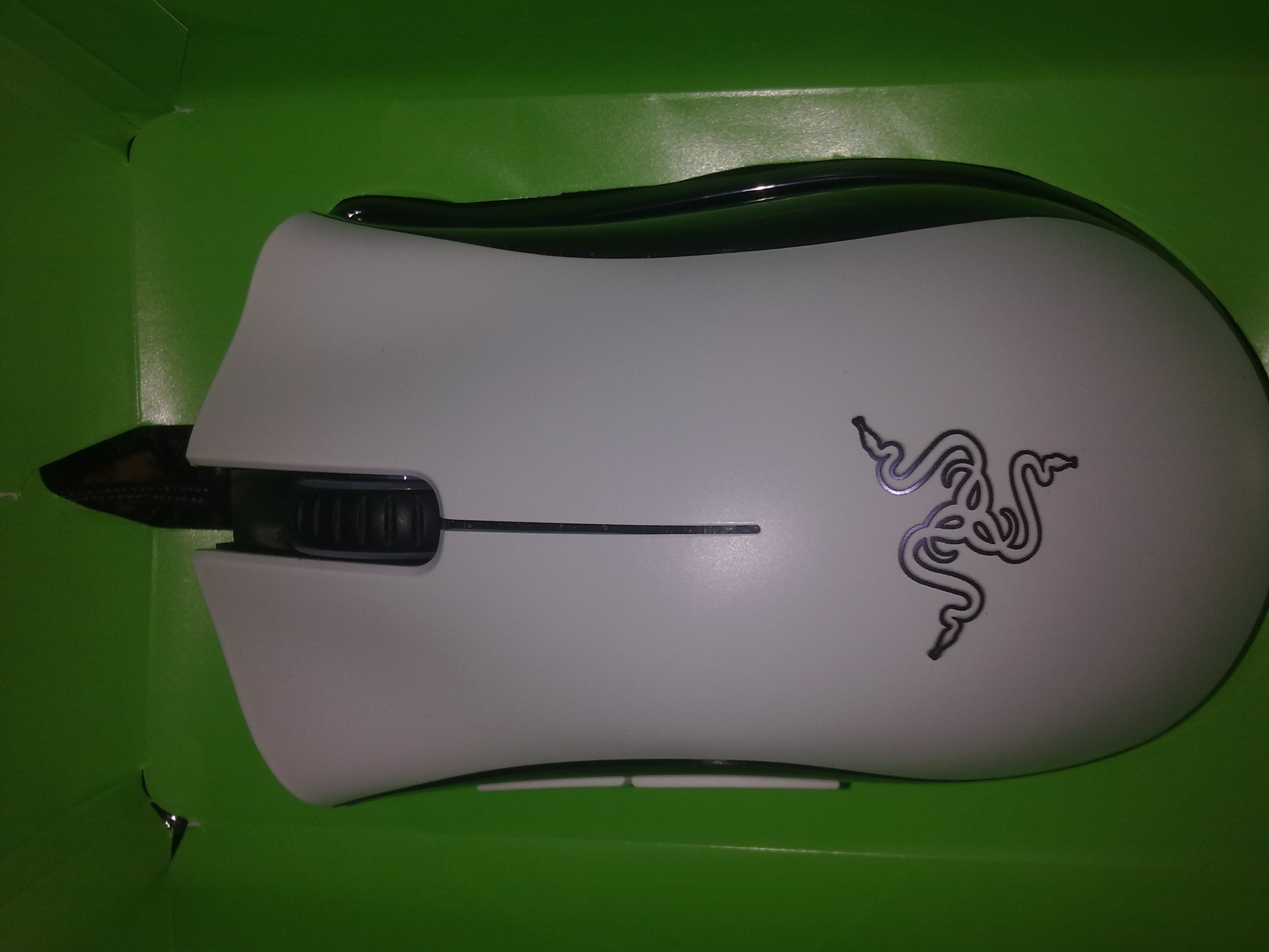 20110925429.jpg