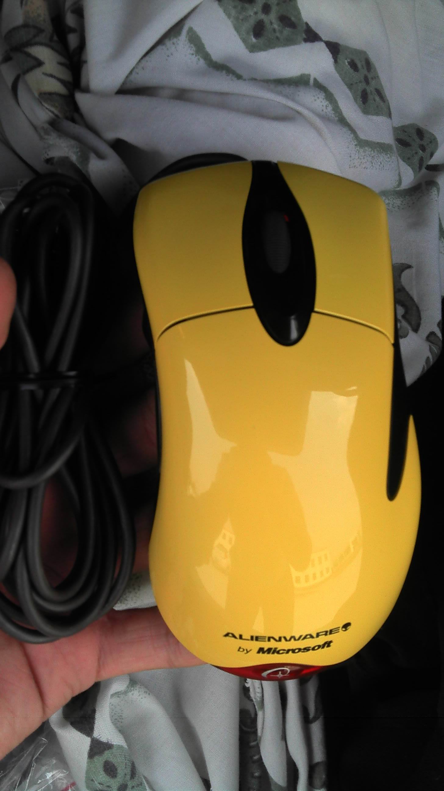 ���ۻ���X09IE3[600��!!!!!],�ܷ��WMO[�ѳ�],����KINZU[�ѳ�]