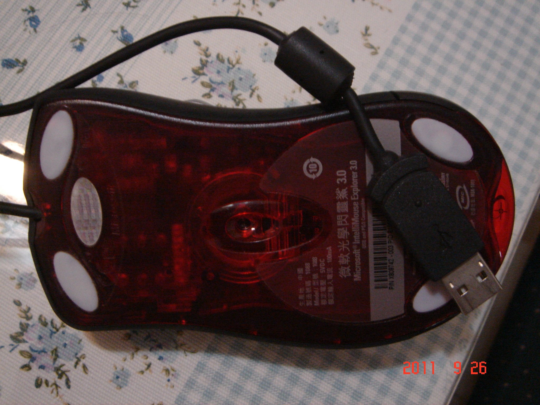 DSC01117.JPG