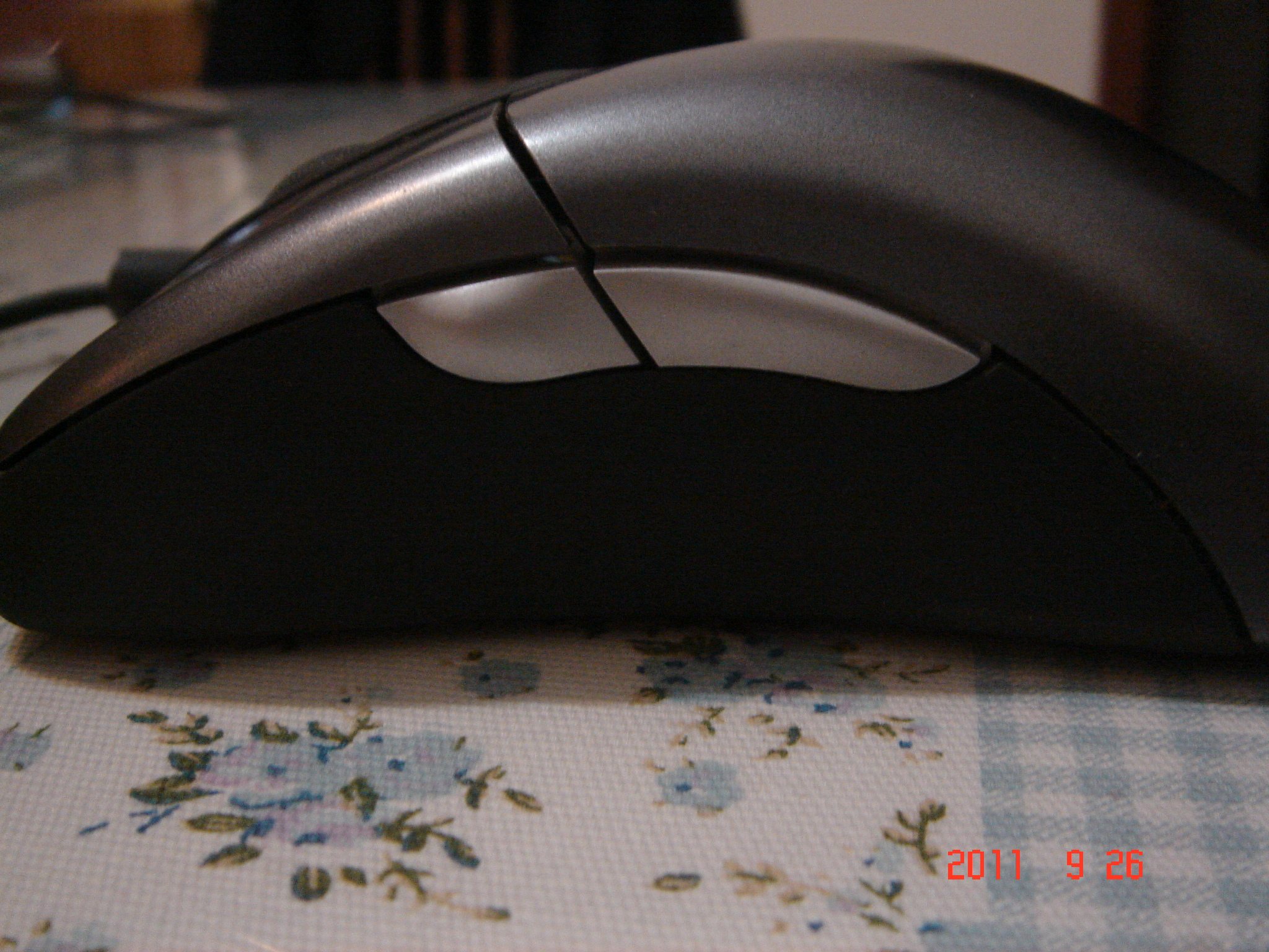 DSC01116.JPG