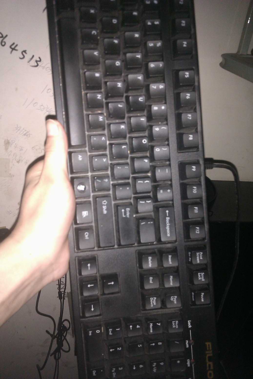 IMAG0298.jpg