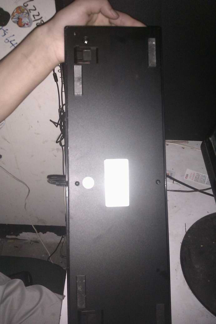 IMAG0295.jpg