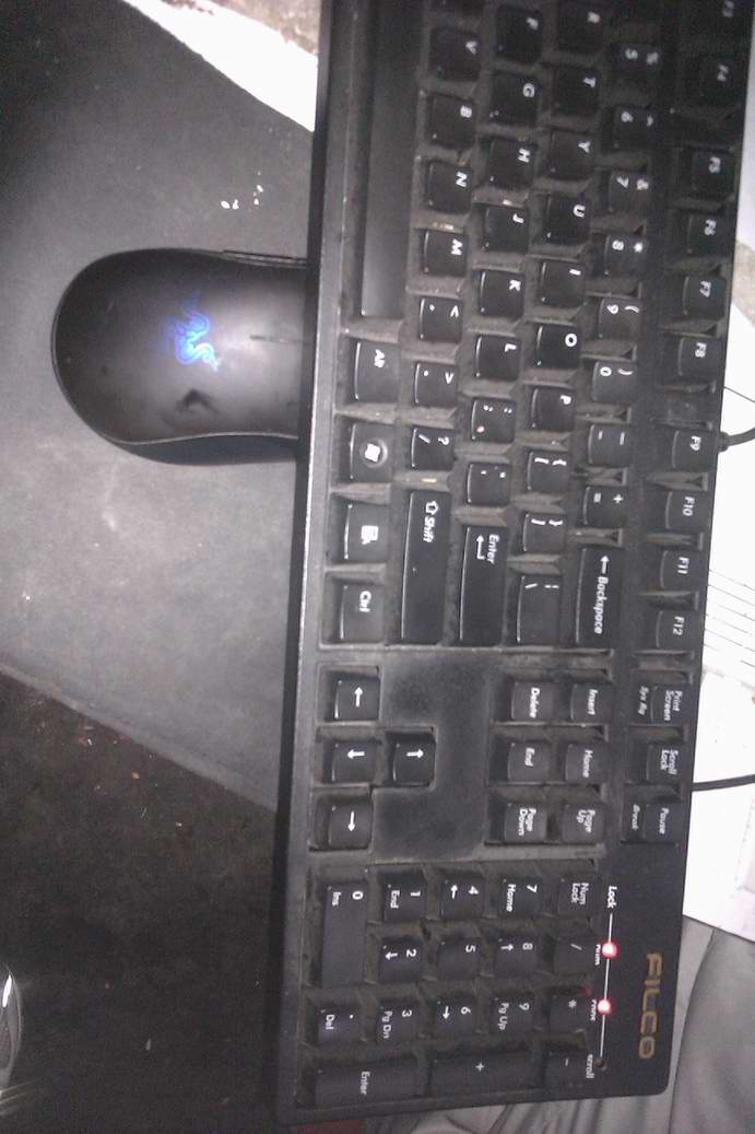 IMAG0292.jpg