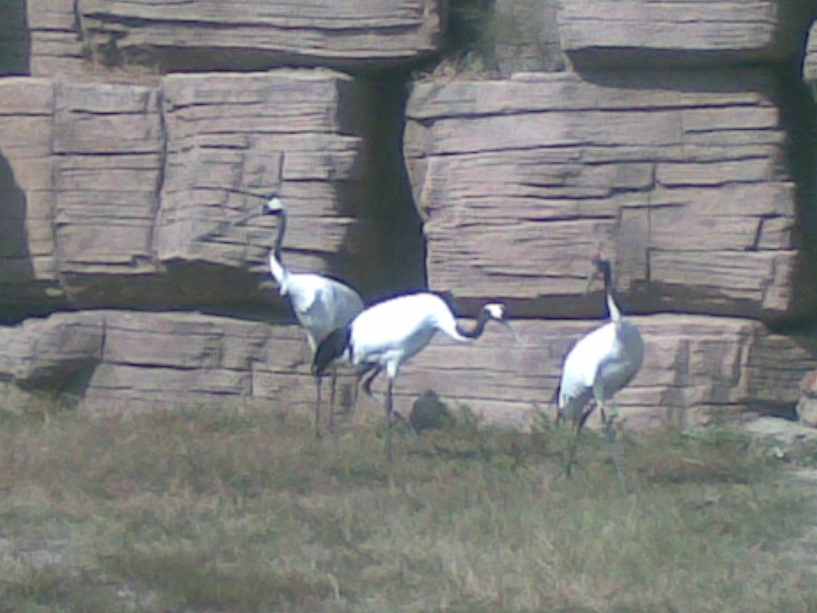 20110924(005).jpg