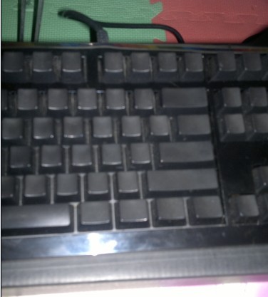 �ѳ� ������
