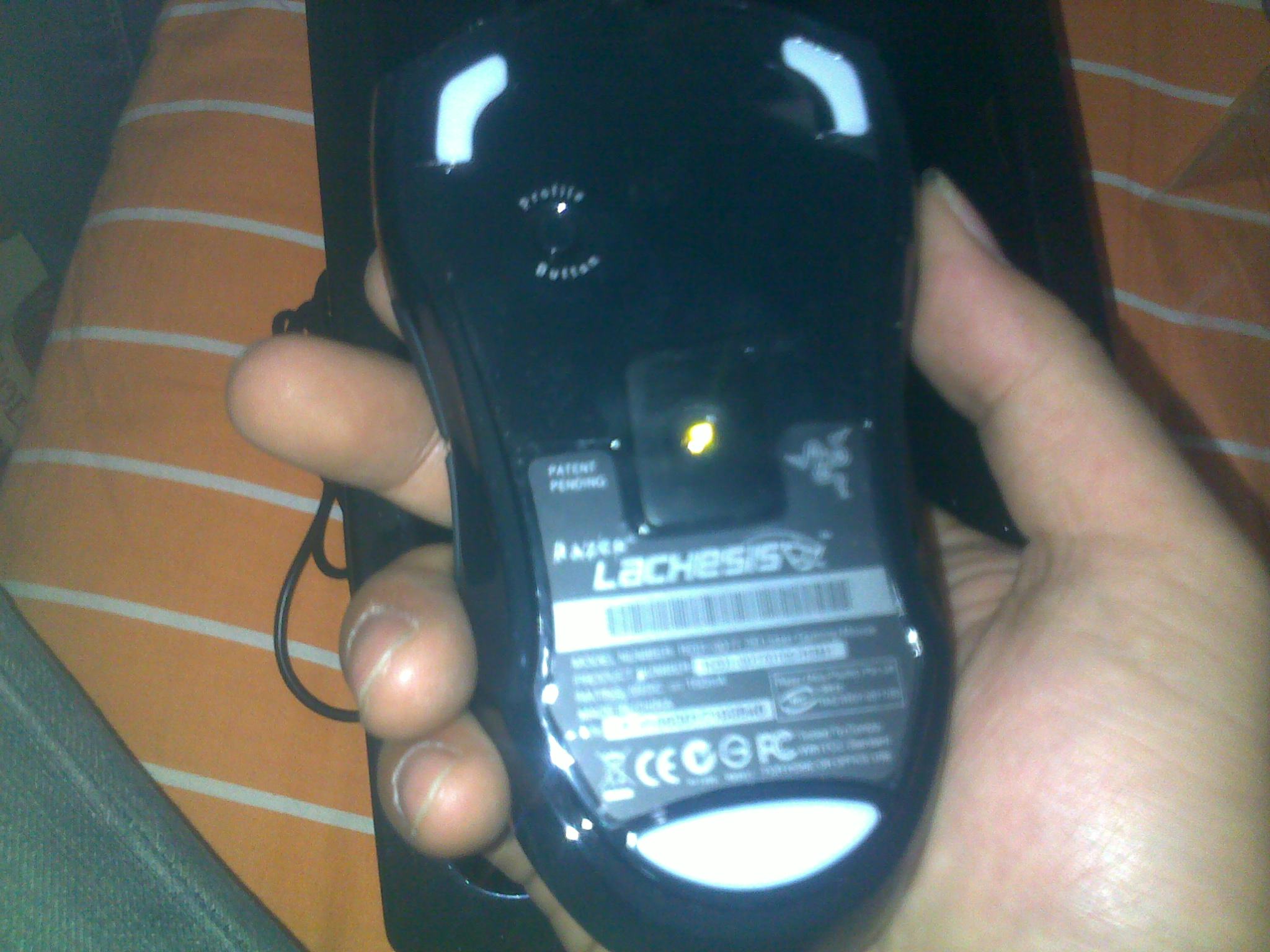 20110927089.jpg