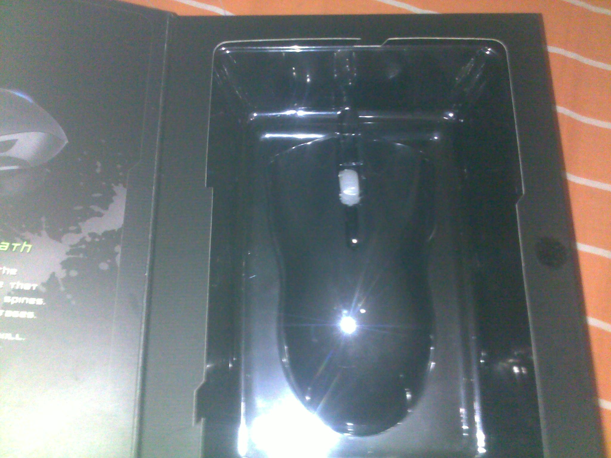 20110927088.jpg