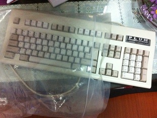 PLUM��WIN���ϼ���