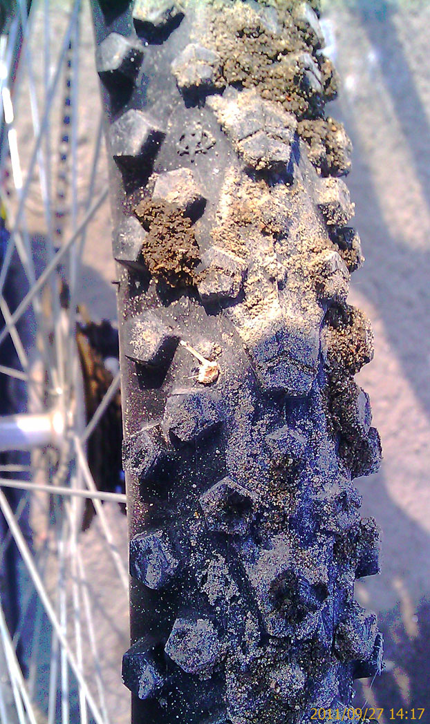 IMAG0059 ����.jpg