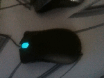 IMG_0186_clip.gif