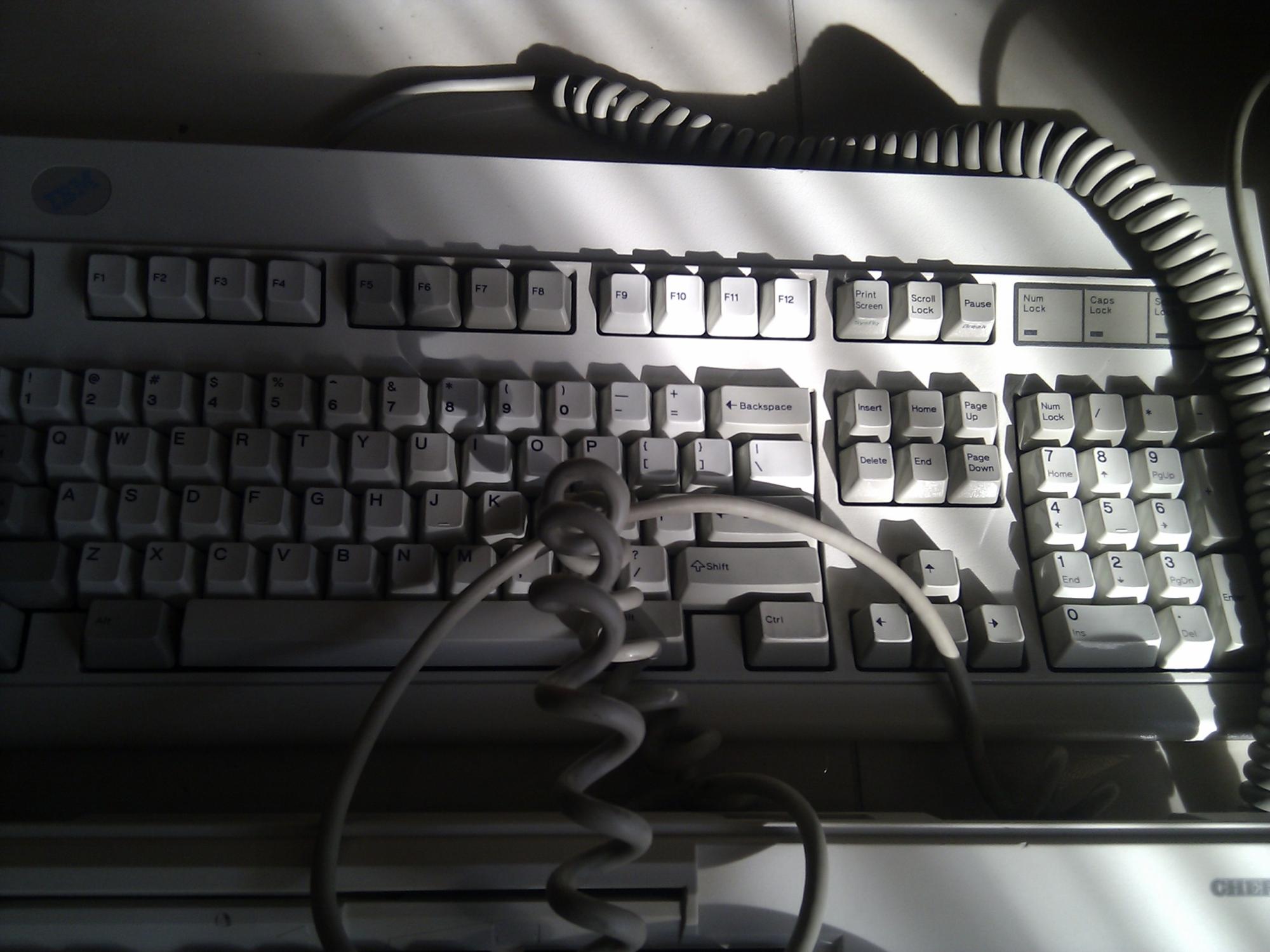 ���������ּ��̣������������( ��ʣ���������IBM model-m��