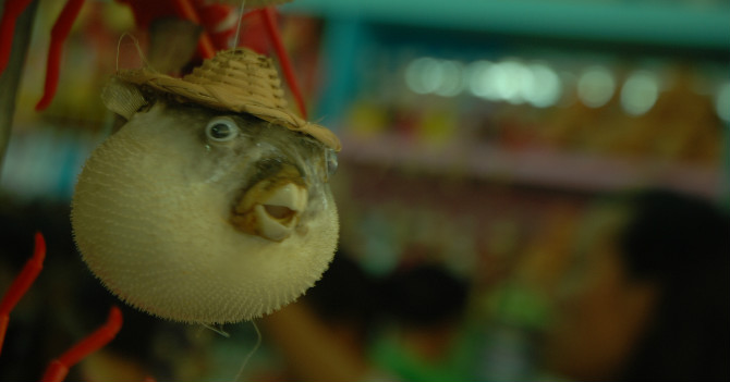 �� - -  ���ŵĵڶ���