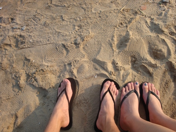 �� - -  ���ŵĵڶ���