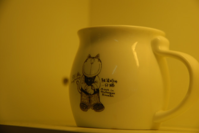 �� - -  ���ŵĵڶ���