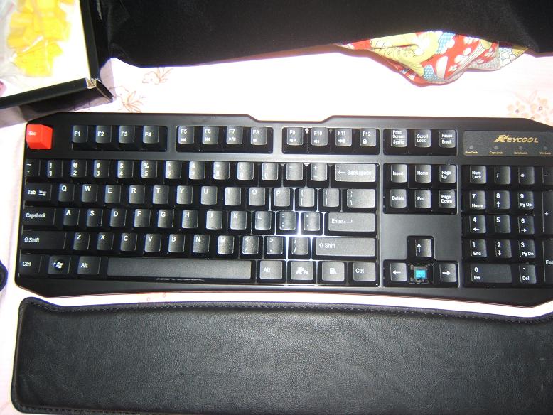 ˸ɫESC в