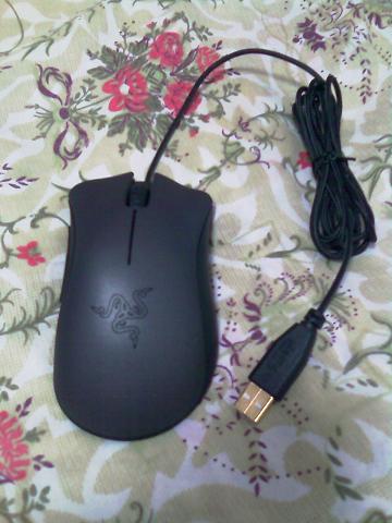 ѳۺʮXAI+masskinzu()(