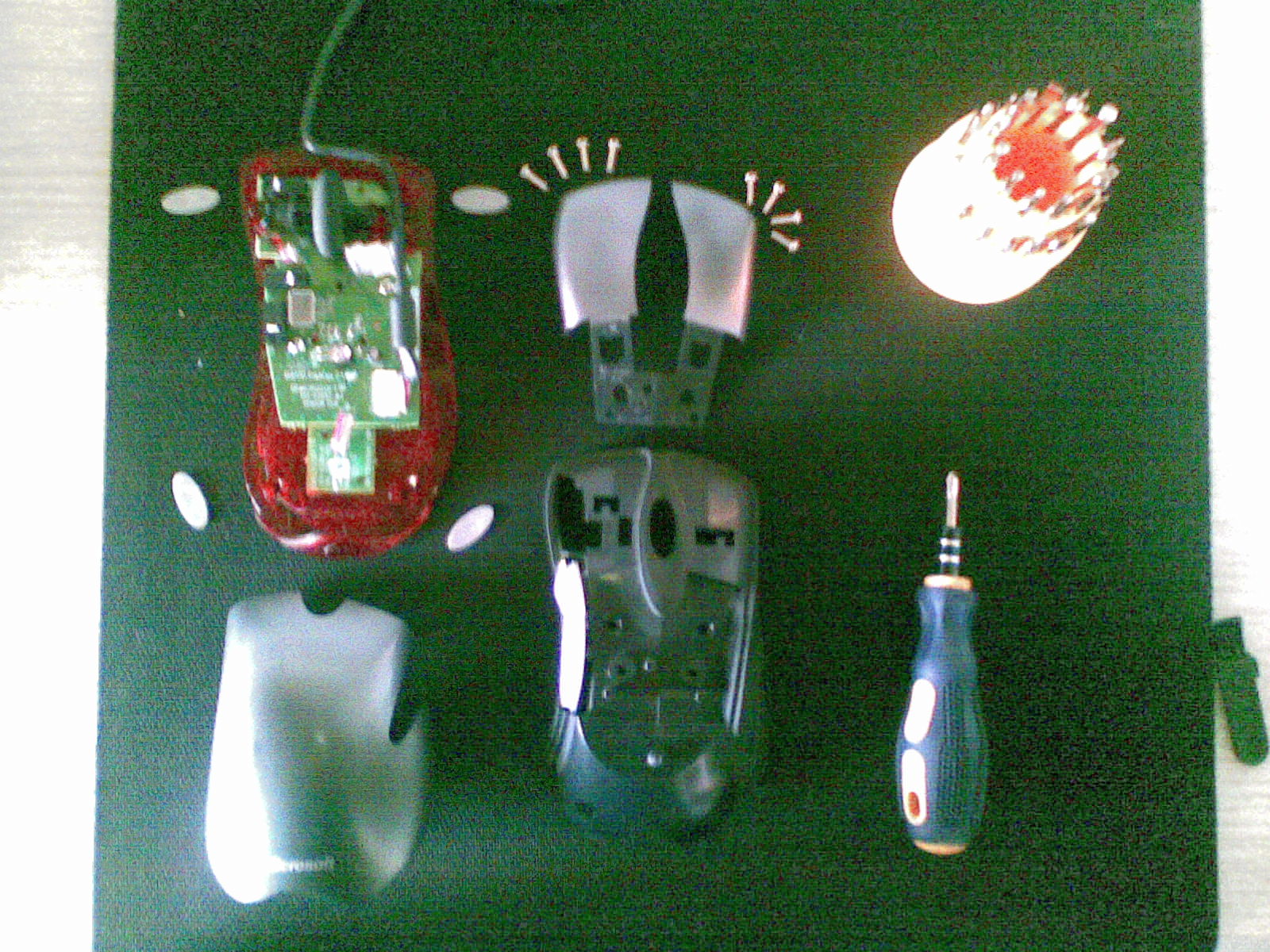 20110921(002).jpg