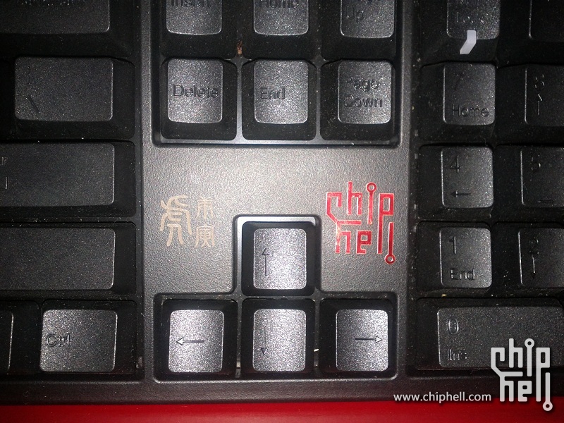 DUCKY������������+DUCKY��Ƥ����