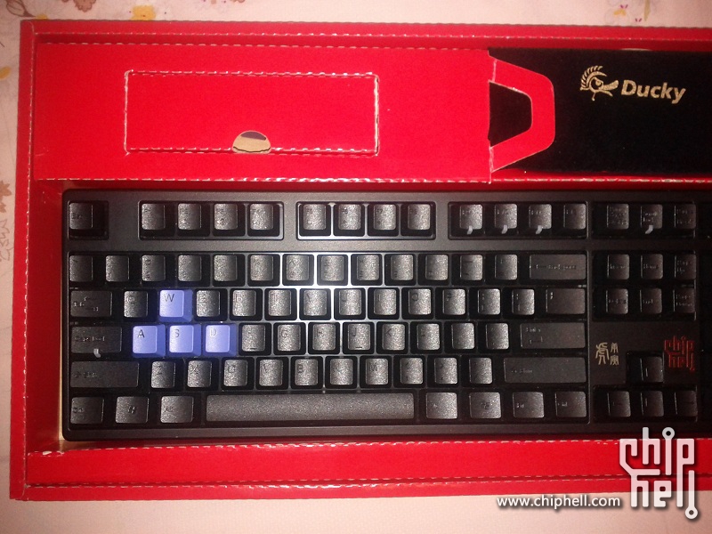 DUCKY������������+DUCKY��Ƥ����