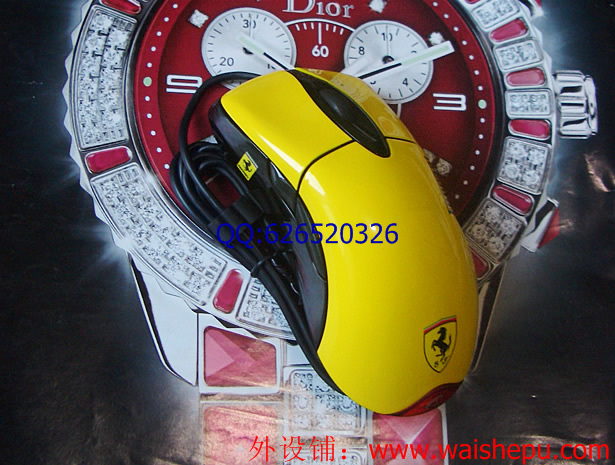 CIMG04700_r1_c1.jpg
