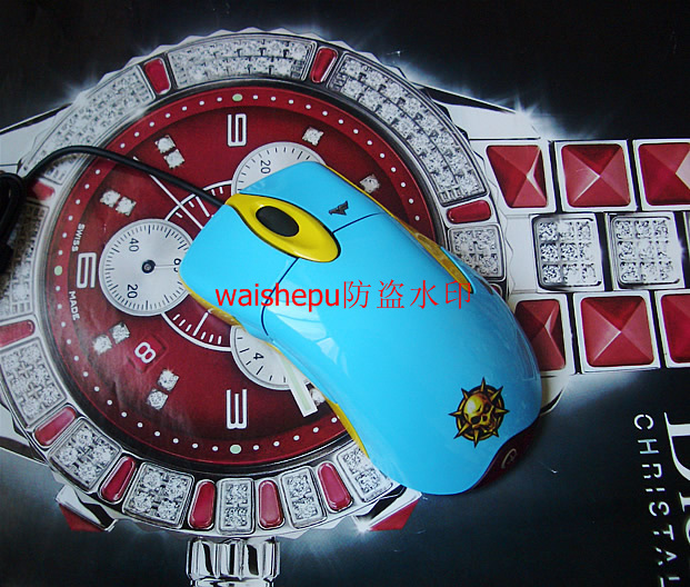 CIMG0366_r1_c1.jpg