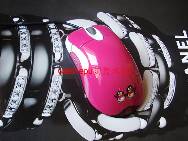 CIMG03993_r1_c1.jpg