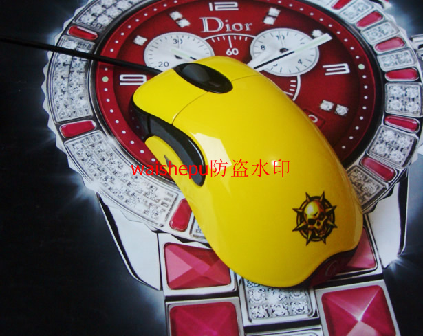 CIMG05062_r1_c1.jpg