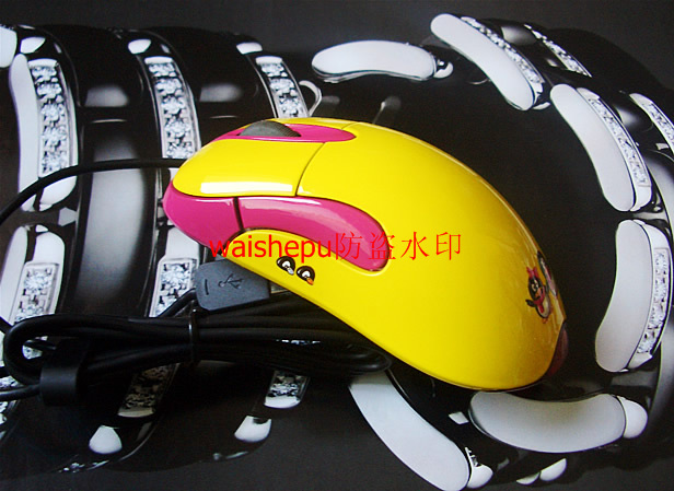 CIMG03983_r1_c1.jpg