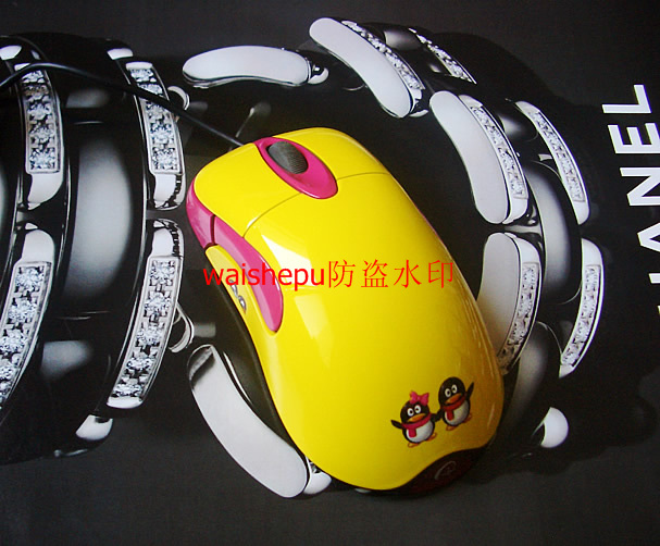 CIMG03973_r1_c1.jpg