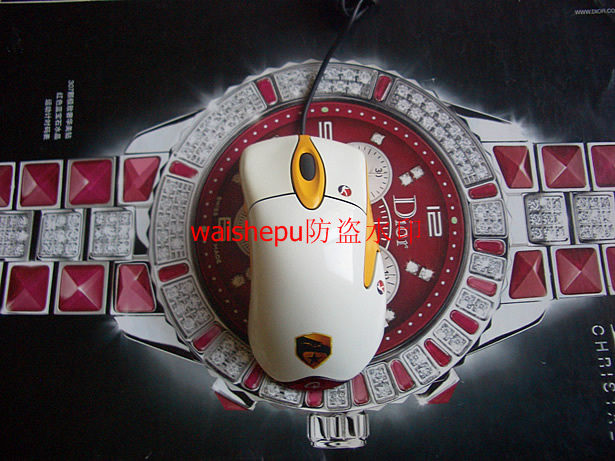 CIMG0441_r1_c1.jpg