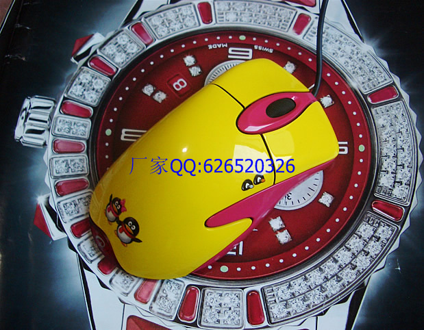 CIMG0498_r1_c1.jpg
