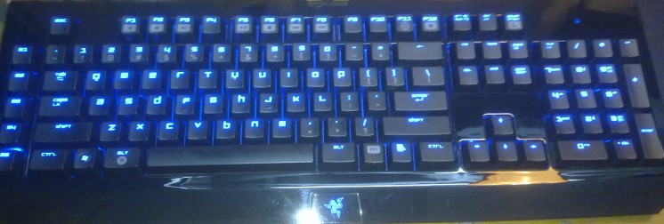 ���³�һֻ�����ӵİ�ɫ���߻�������ڹѸ�