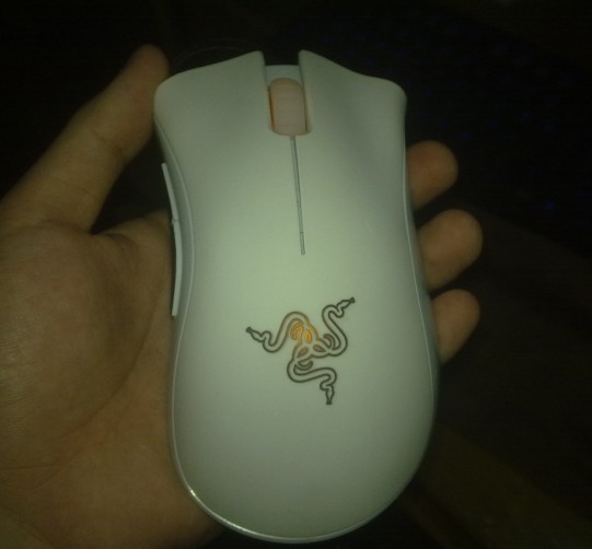 ���³�һֻ�����ӵİ�ɫ���߻�������ڹѸ�