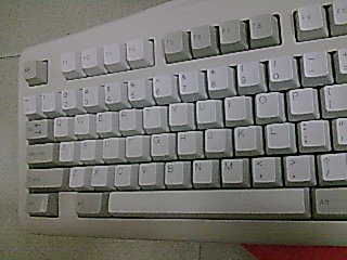 ���ݳ�һ�ѳ�ɫ��ʵ����ᣬ��е����ֻҪ100Ԫ