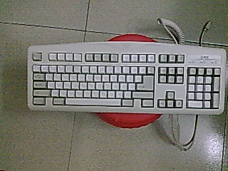 ���ݳ�һ�ѳ�ɫ��ʵ����ᣬ��е����ֻҪ100Ԫ