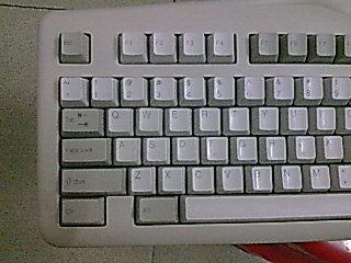 ���ݳ�һ�ѳ�ɫ��ʵ����ᣬ��е����ֻҪ100Ԫ