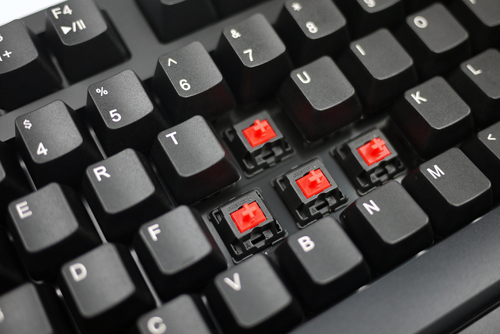 zowie celeritas �������