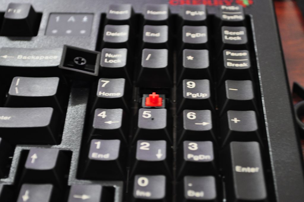 ¸¡YLJ11900ĳɫɡϸ䶼Ǹ