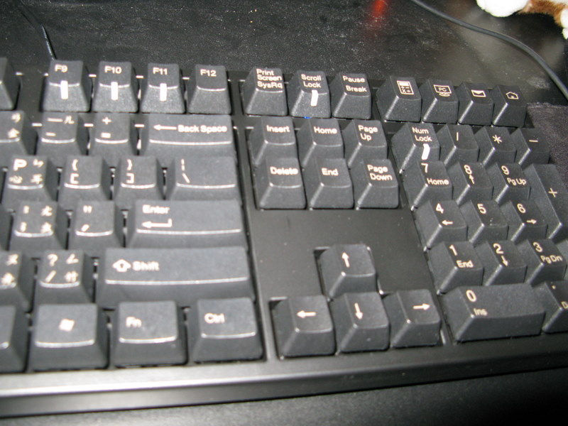 ducky PBT����