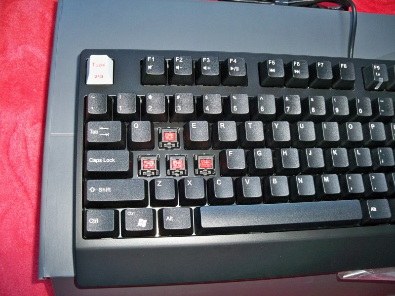 ��ɭ���е�һ��ɧZowie Celeritas ����