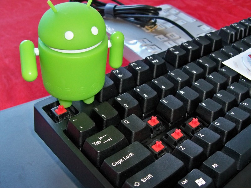 ��ɭ���е�һ��ɧZowie Celeritas ����