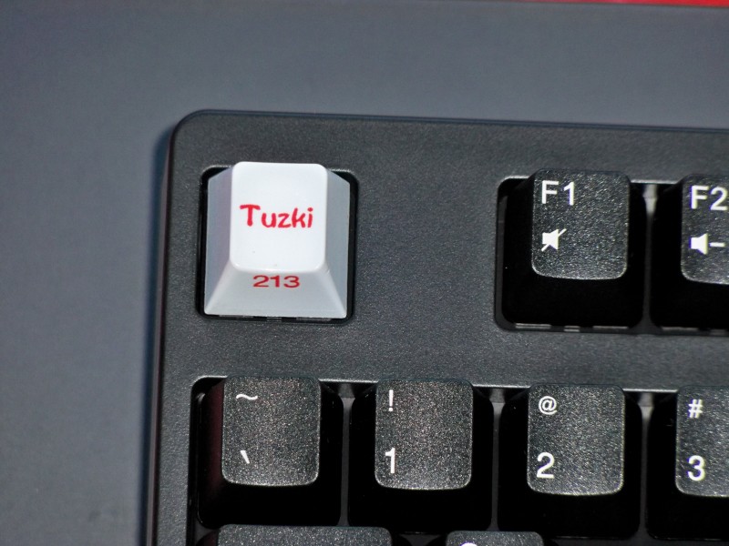��ɭ���е�һ��ɧZowie Celeritas ����