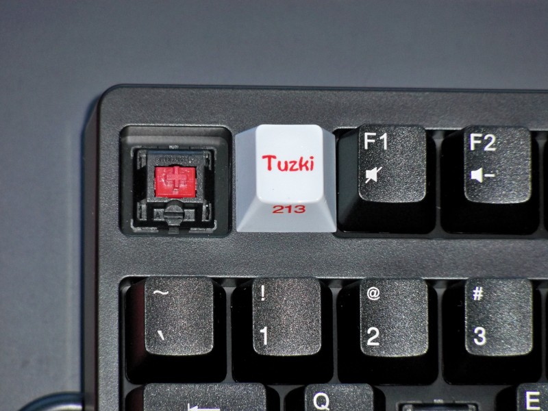 ��ɭ���е�һ��ɧZowie Celeritas ����