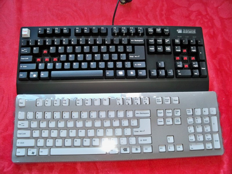 ��ɭ���е�һ��ɧZowie Celeritas ����