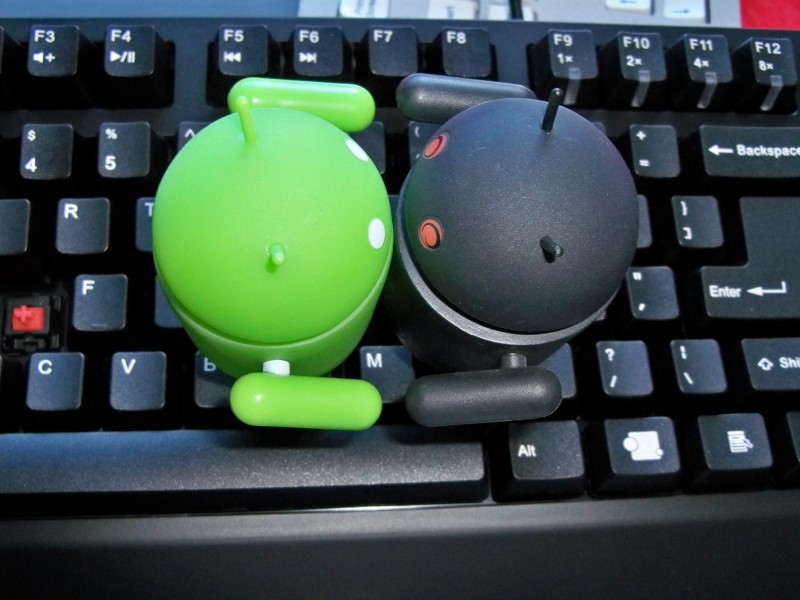 ��ɭ���е�һ��ɧZowie Celeritas ����