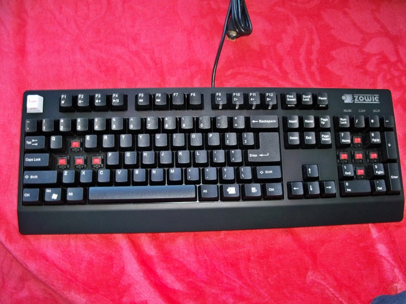 ��ɭ���е�һ��ɧZowie Celeritas ����