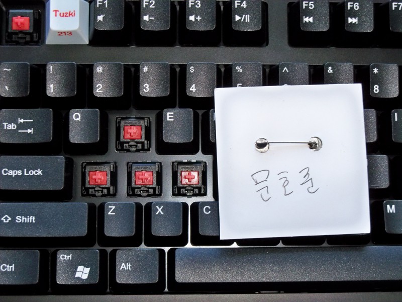 ��ɭ���е�һ��ɧZowie Celeritas ����